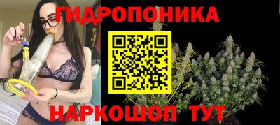 шишки Краснодар